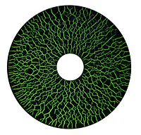 MPI Water Suspendable Fluorescent Powder (1kg) - Master
